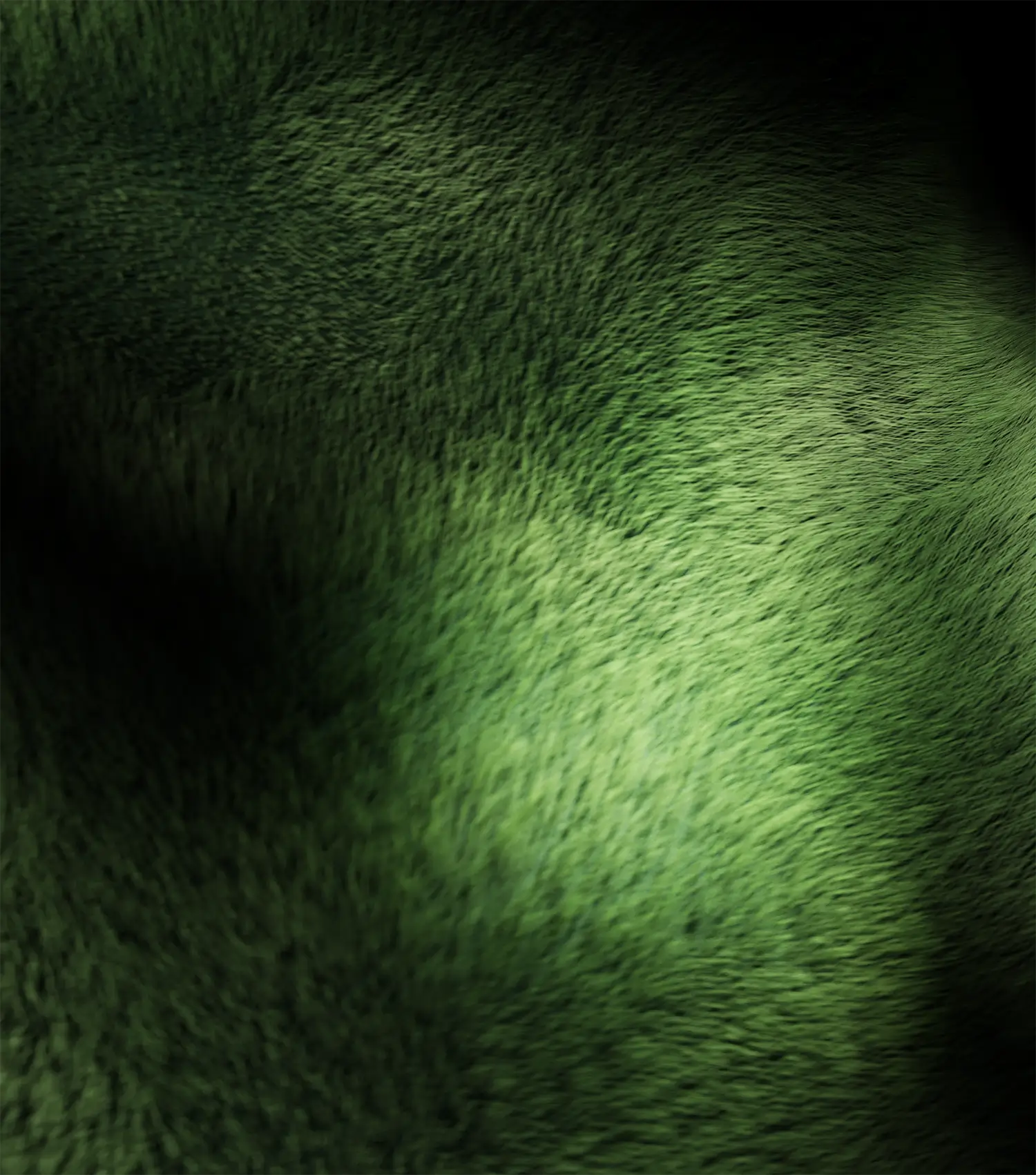 Green fur in light